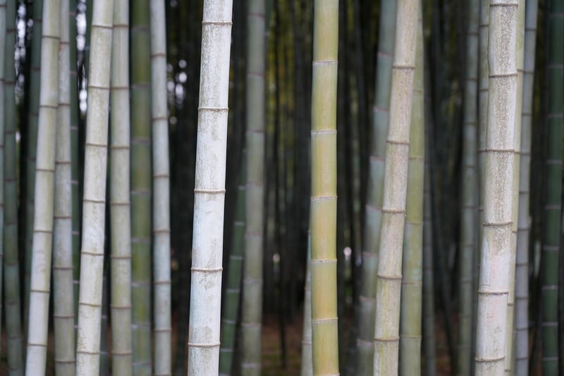 Eco-Friendly Gifts